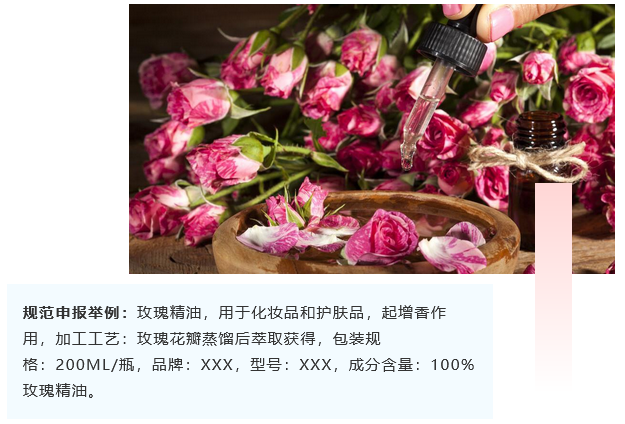 <a href='http://www.ibnepws.cn' title='危險品海運' >危險品海運</a>
