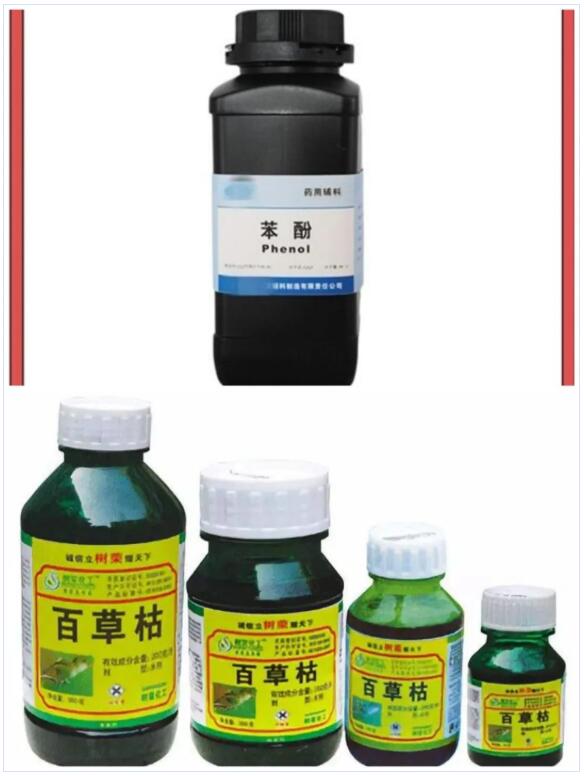 <a href='http://www.ibnepws.cn' title='國(guó)際貨運(yùn)代理' >國(guó)際貨運(yùn)代理</a>